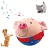 cochon
