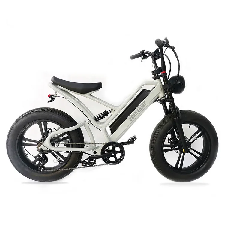 How to choose the best Electric bicycle Manufacturer in Poland?