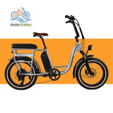 long range 20"battery electric cargo bike  750W cargo electric bike e-bike for delivery Ecargo Bikes for Families