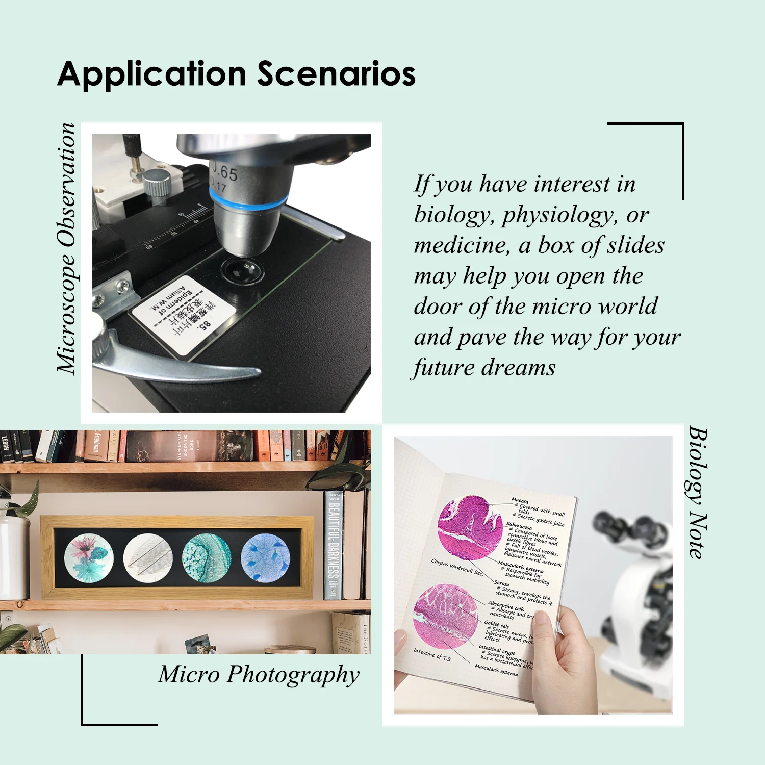 Biological Microscopes Slides Middle School Student Gift Teaching