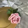 Slender Rose