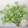 Rama de nomeolvides verde
