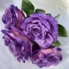 Deep purple