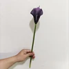 violet foncé YL80450-2