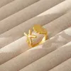 starfish and shell