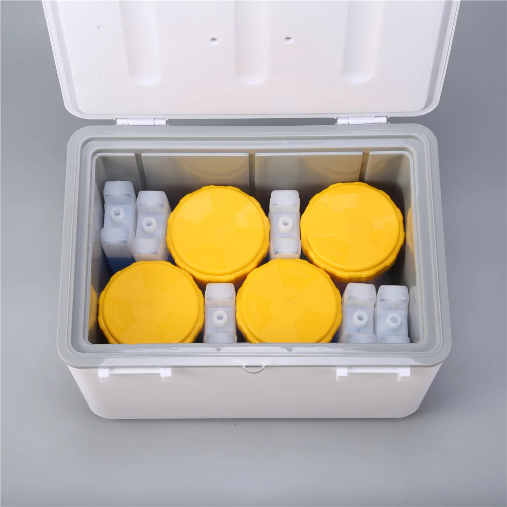 20l Ice Chest Cooler Plastic Portable Low Temperature Ice Box Non