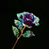 colorful Purple-red