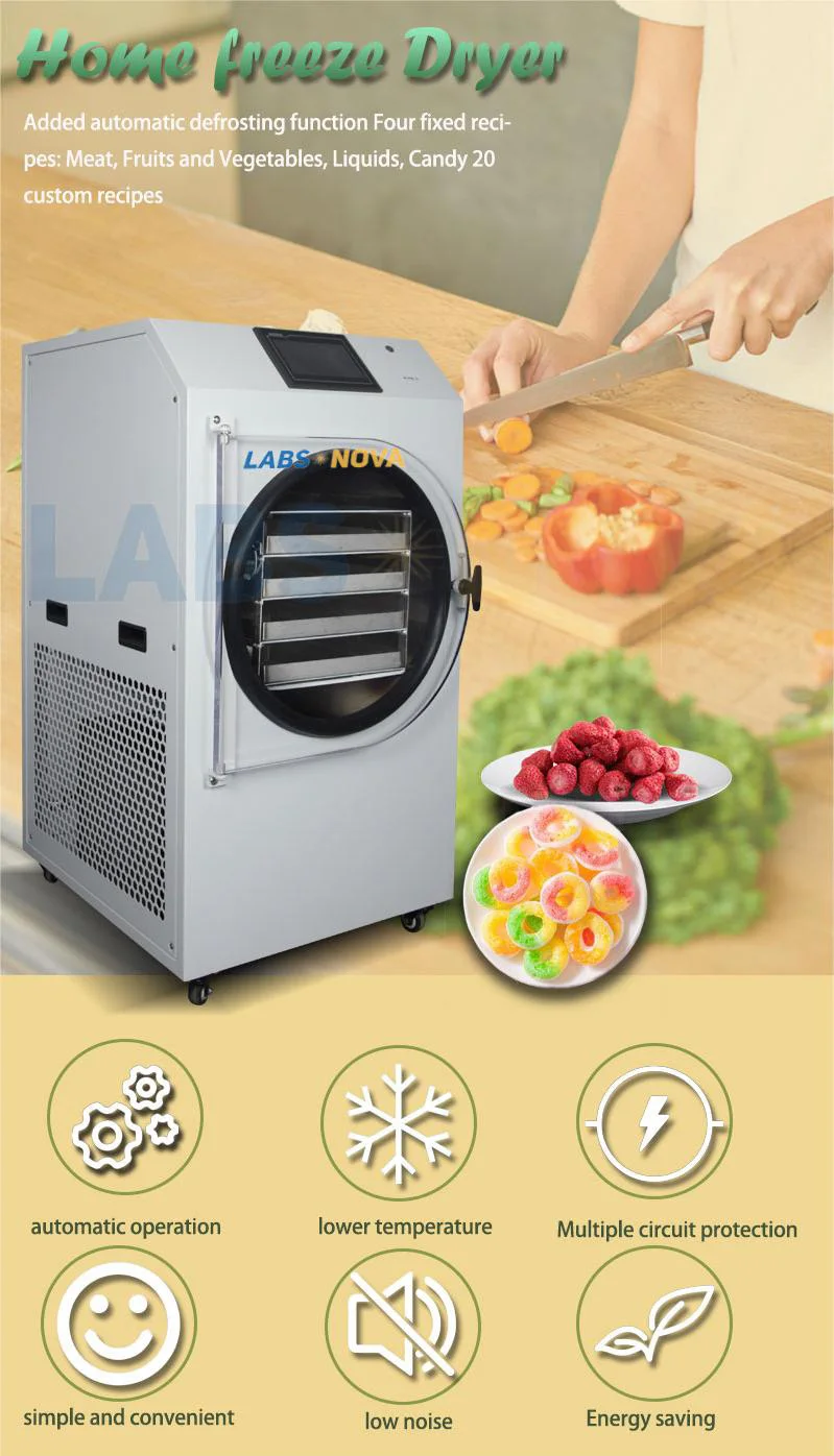 Mini Freeze Dryer Machine for Home Use - Affordable Food Freeze Dryer ...