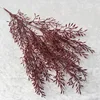 Hierba de Arroz No.2 rojo