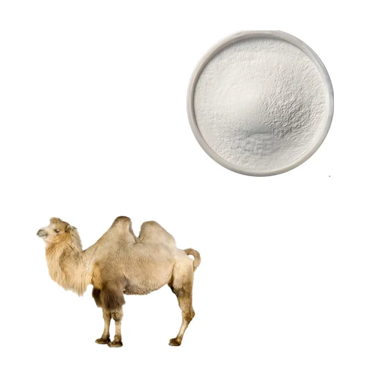 Camel Milk Powder