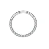 Front zircon-Silver