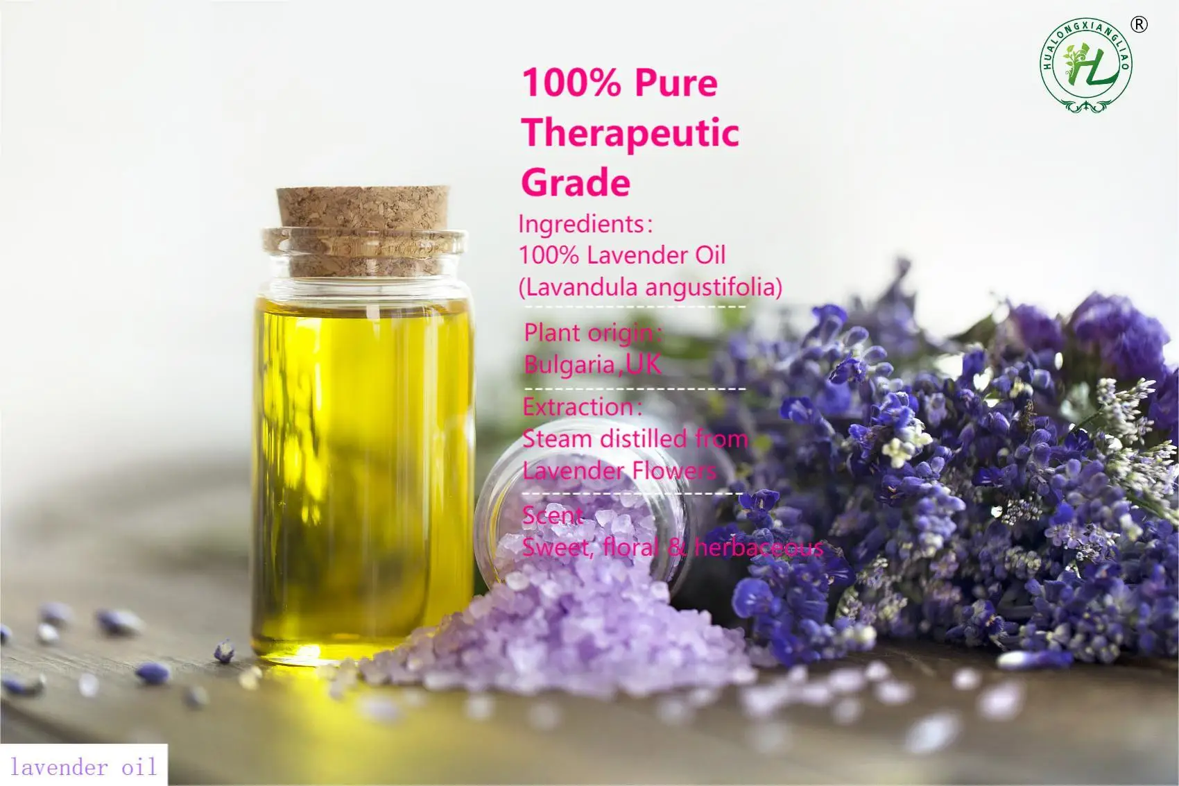 100% Natural Plant Extract Aromatherapy Oils Manufacturer, Bulk Organic  English Lavender Essential Oil 100% Pure for Skin Care Therapeutic-Grade,  Sample Free - China English Lavender Essential Oil and Lavender Essential  Oil price