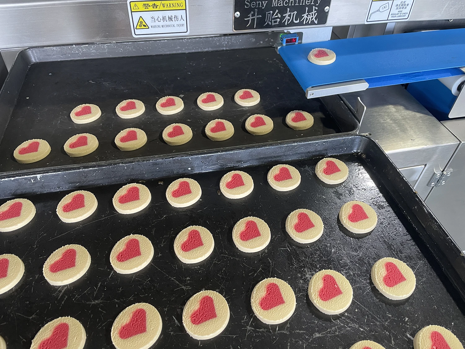 Automatic Double Color Chocolate Filled Cookies Ice Box Cookies Making Machine for Sale