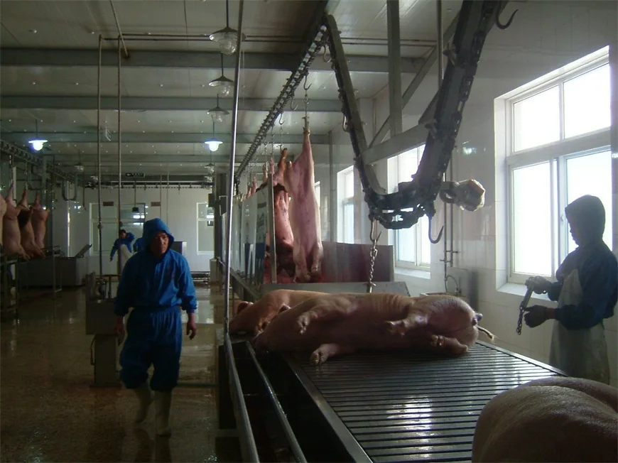 Pork processing machinery for the slaughterhouse and meat cutting industry