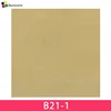 B21-1