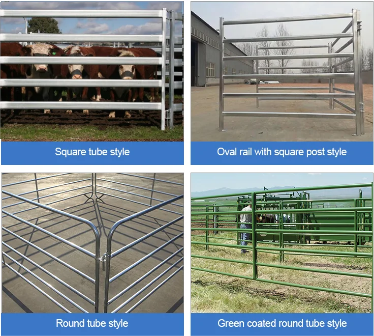 12 Ft X 5 Ft 6 Oval Rails Hot Dipped Galvanized Cheap Cattle Panels For ...