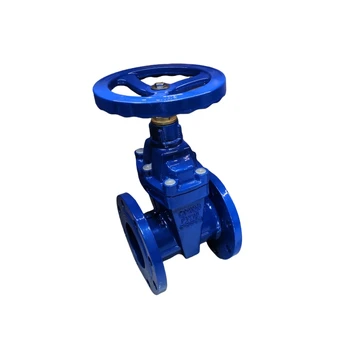 Low Price China Manufacturer Industrial Valve Cast Iron Ductile Iron Rubber Seal Flange Gate Valve
