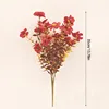 7 Eucalyptus brun fourchu Violet ~ Vin rouge