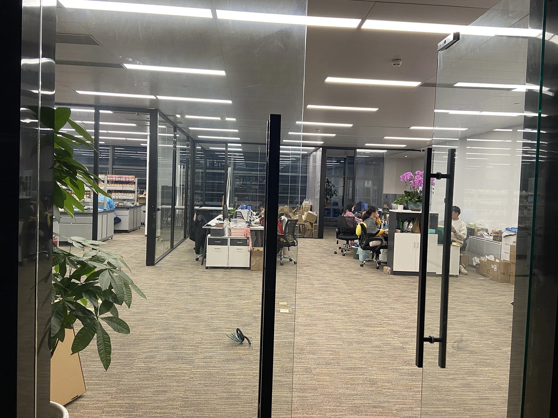 Fujian Ishine Cosmetics Co., Ltd. 2