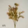 Rose Vanilla