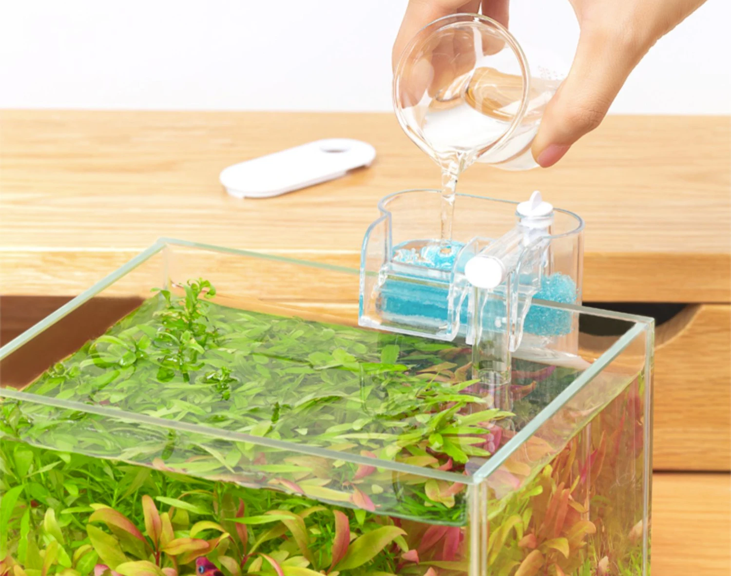 Mini Transparent Waterfall External Hanging Filter Aquarium