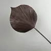 Black Purple Fan Palm Leaf