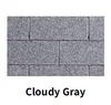 Cloudy Gray