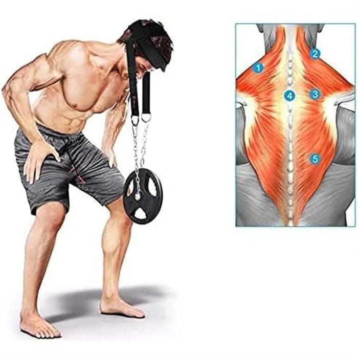 2025 New Style Head Weight Belt Waist Training Strap Gym Neck