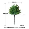 Small juniper [without pot]