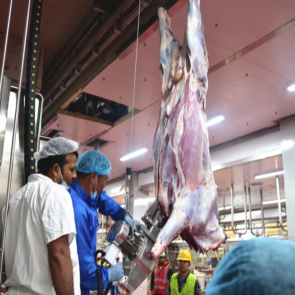 New halal cattle and sheep slaughterhouse buffalo slaughtering machinery slaughtering equipment