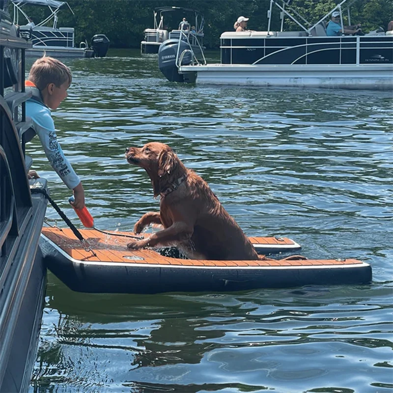Boat Dock Ladder Dog Ramp For Dock Dock Diy Dog Steps Pontoon Dog