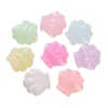 10 randomly mixed (approximately 18*19.5mm)