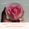 rosa rosa