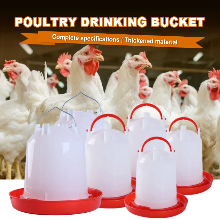 Plastic Poultry Animal Feeders and Drinker Manual Chicken Feeder Bird Feeders