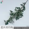 Film-coated Tradescantia zebrina YWLZ White-core Green