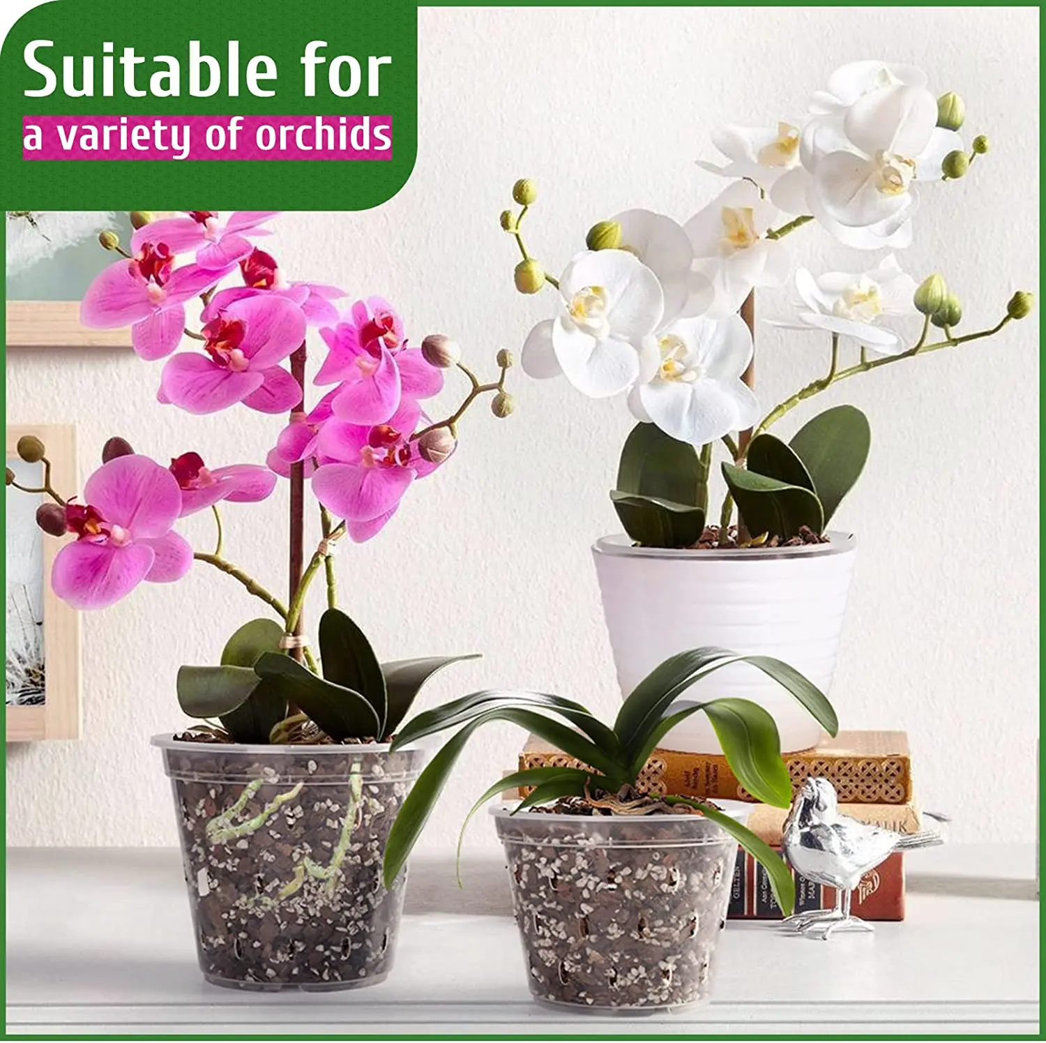 Orchid Pots With Holes And Saucers Clear Plastic Orchid Pots Buy