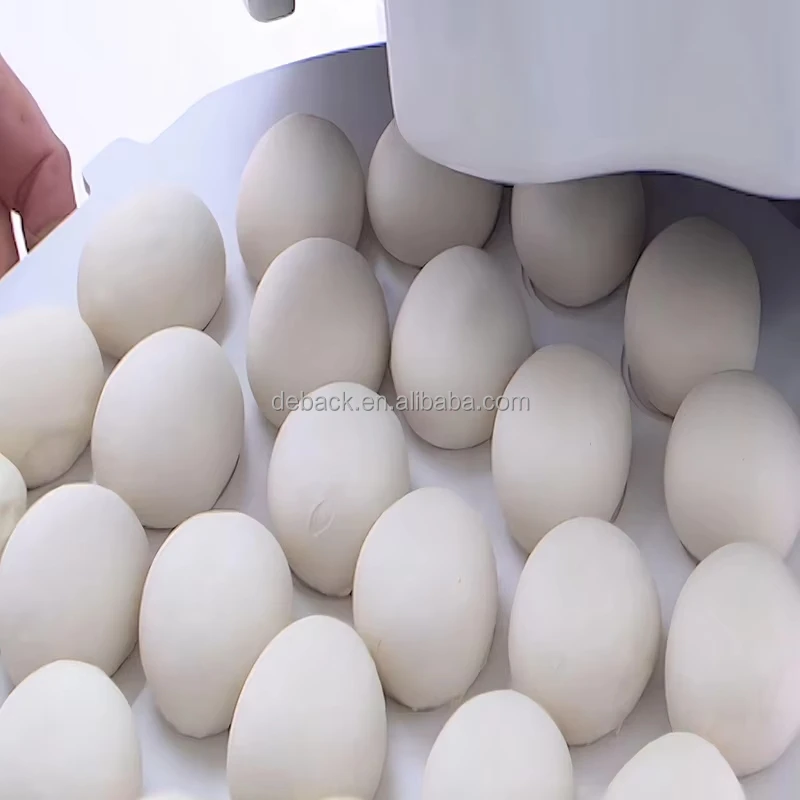 Commercial Industrial Automatic Electric Dough Divider Cutter for Bakeries-New 20pcs/min Wheat/Milk/Sugar/Flour/Corn/Egg