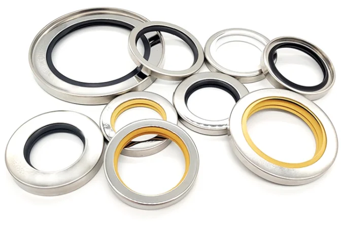 Dlseals Oem Ptfe Air Compressor Parts Oil Seals Ptfe Double Lips Seal