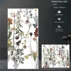 Colored tropical plants