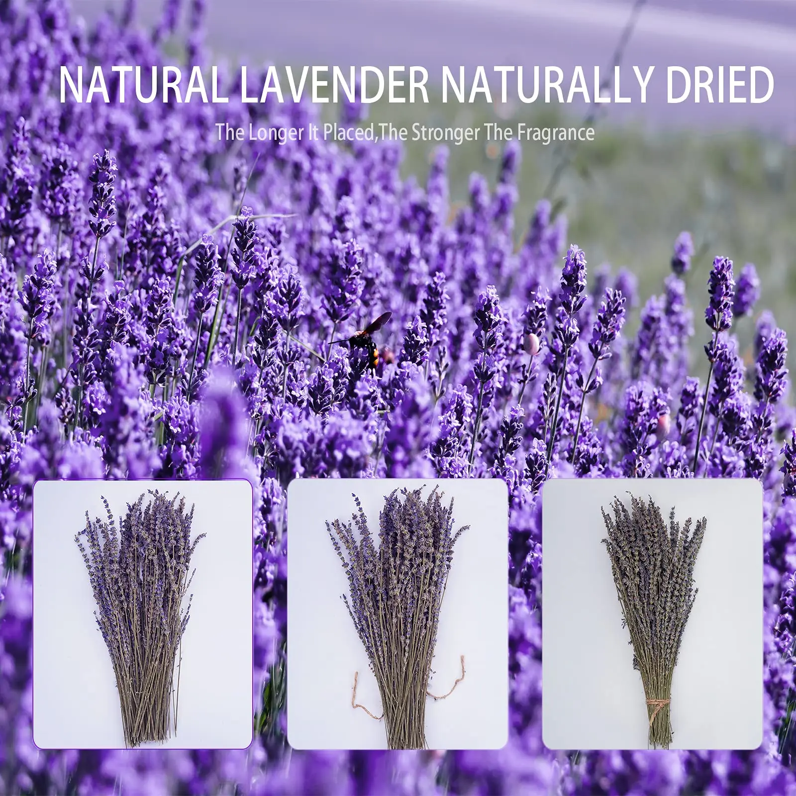 Dried Lavender Bundles 100% Natural Dried Lavender Flowers for Home Decoration, Photo Props, Home Fragrance, 2 Bundles Pack