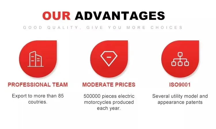 CKD SKD 10inch 600/800W 50km/h Speed Electric Scooter Lightweight Electric Motorcycle for Adults From China