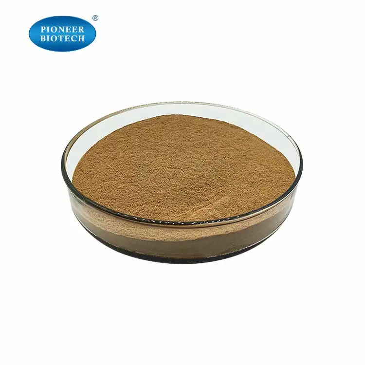 Radula Perrottetii Extract Powder