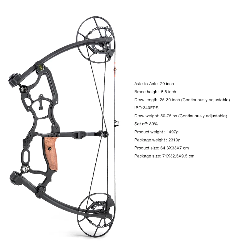Archery Compound Bows Arrow Hunting Adjustable Draw Weight Compound Bow Shooting Steel Ball and Arrow Dual Purpose for Hunting