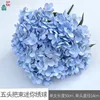 Five-headed Mini Hydrangea WZT Sky Blue