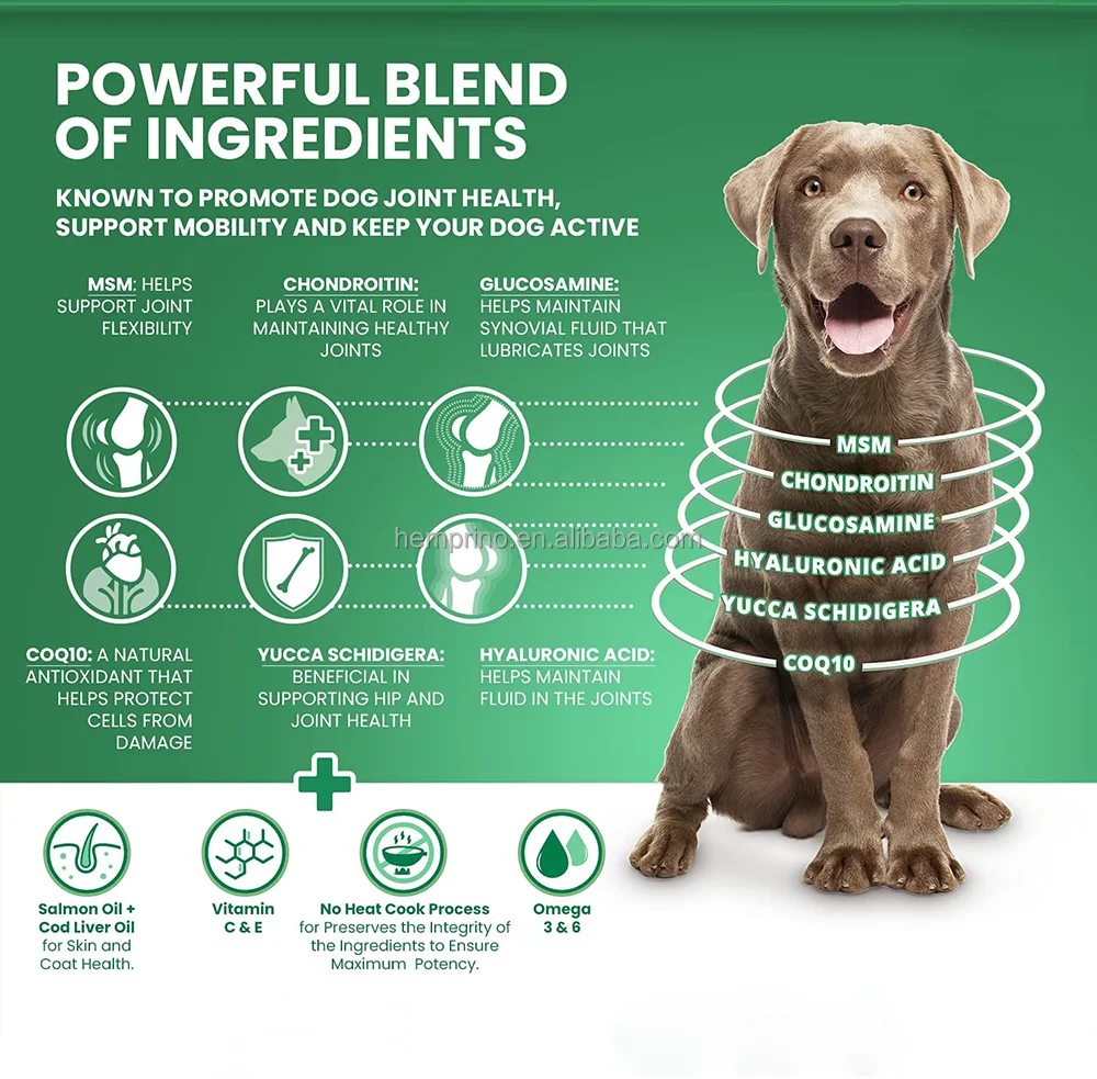 Multifunctional Dog Supplements for Dogs Vitamins Pet Of All Sizes Love These