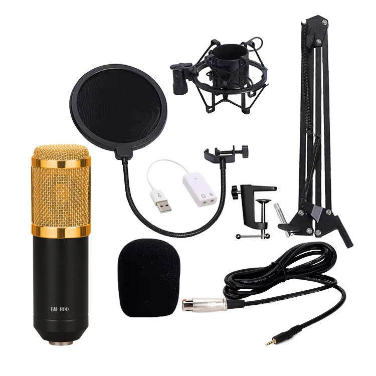 Customizable Handheld Multifunctional Recording Studio Microphone