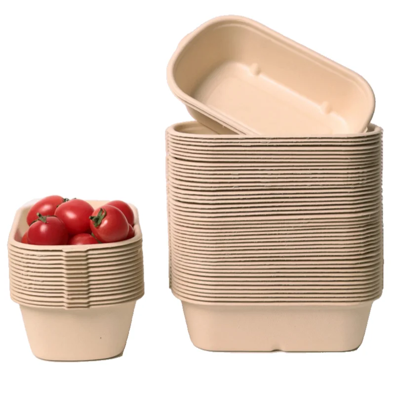 1300ml Biodegradable Sugarcane Paper Lunch Box Lunch Box For Hot And