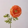 Senti loto-arancione a 2 teste