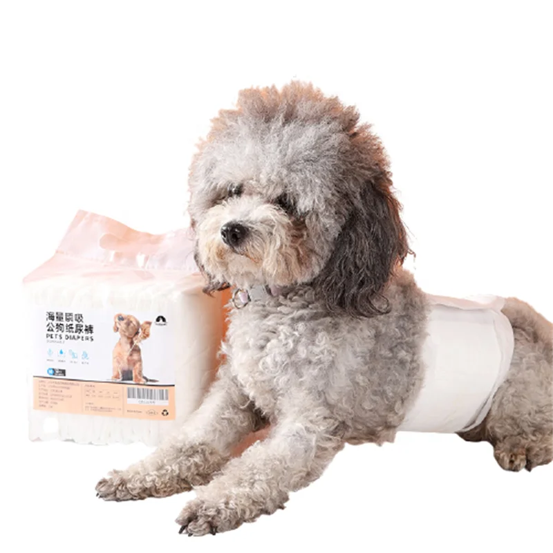 what are the best diapers for dogs