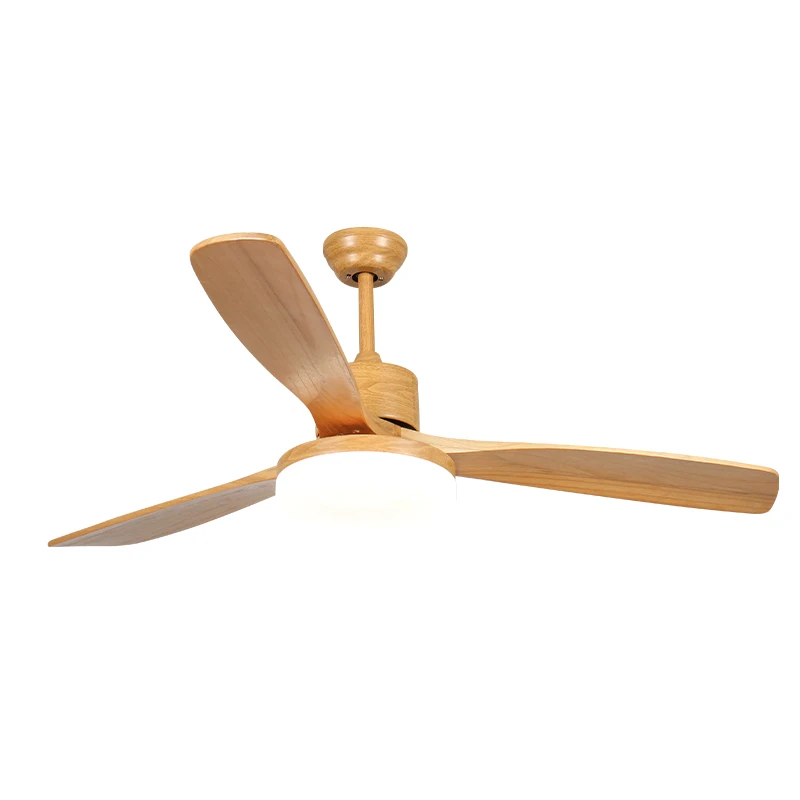 Outdoor Waterproof Ceiling Fan with Light Modern Black Fan 3 Plastic Blades Outdoor Ceiling Fan_0